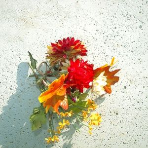 Meet your Posher, Elli